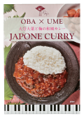 大分大葉と梅の和風カレー