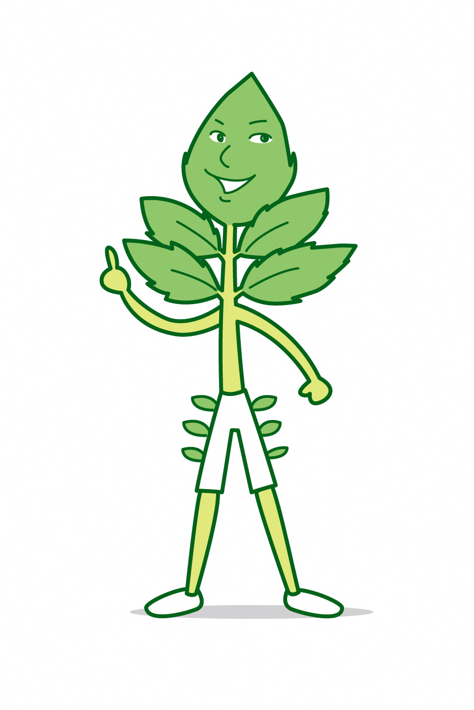周年野菜せり