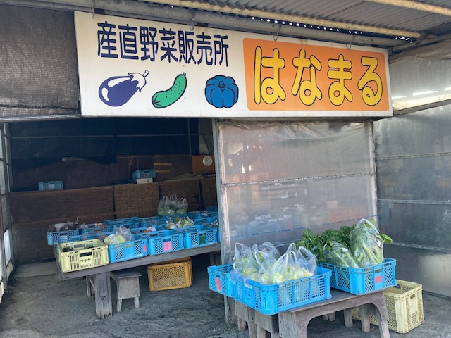 はなまる1