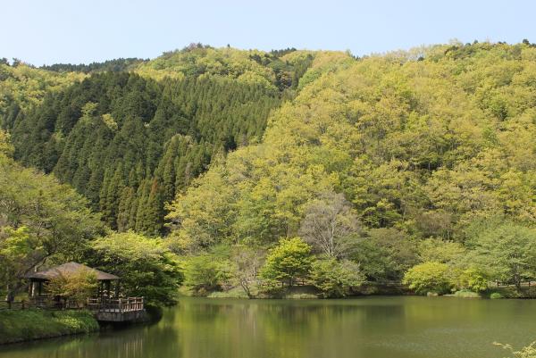 水辺の森コース写真