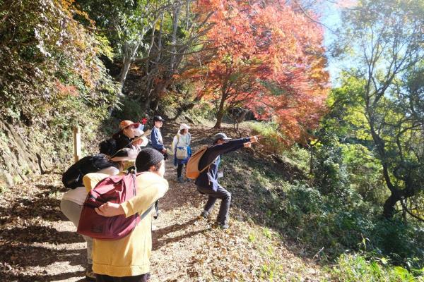 高崎山セラピーロード散策の様子