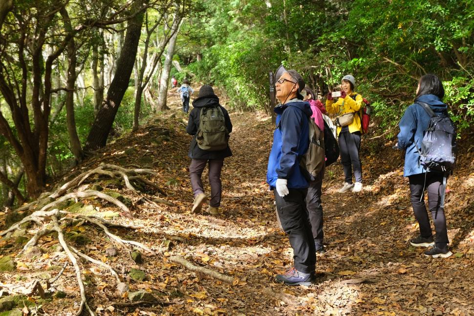 高崎山セラピーロード散策の様子