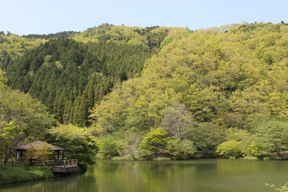 水辺の森コース