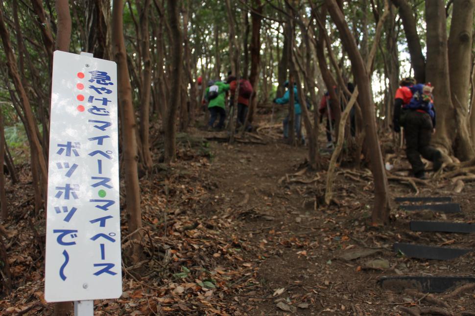 樅の木山登山道の写真