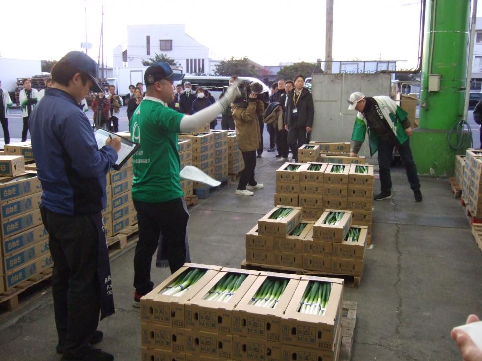 白ねぎセリ風景