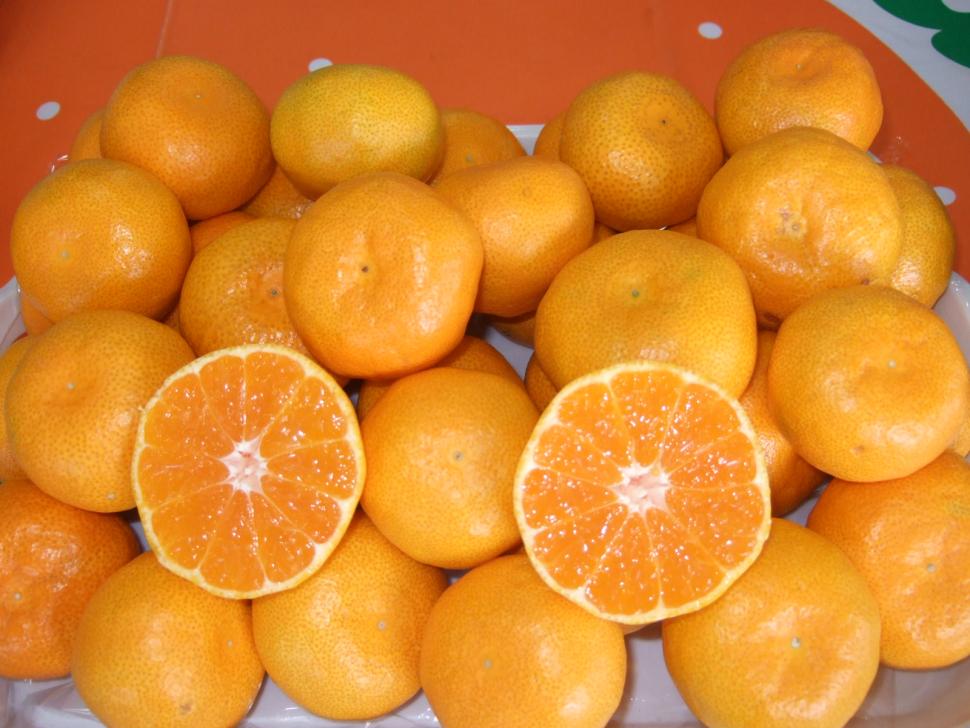 ハウスみかん現物