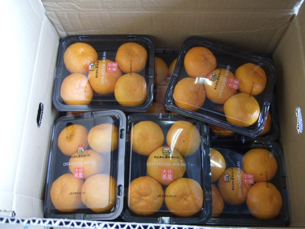 ハウスみかんパック
