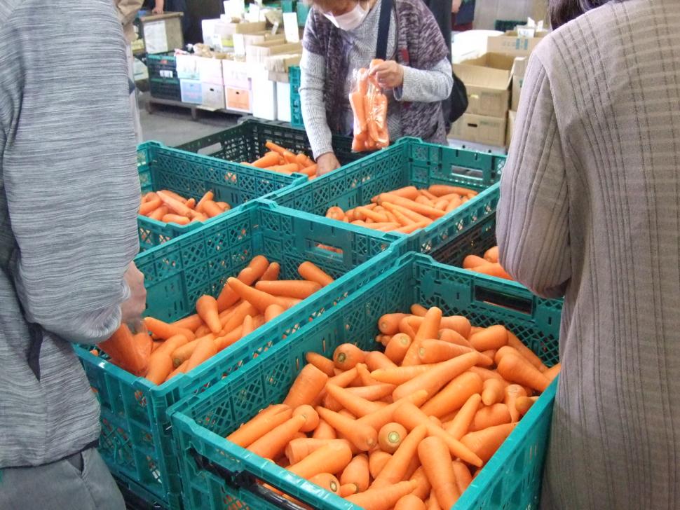 ニンジン詰め放題