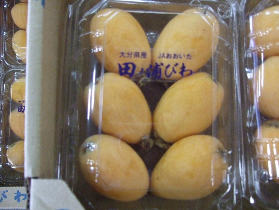 びわ現物