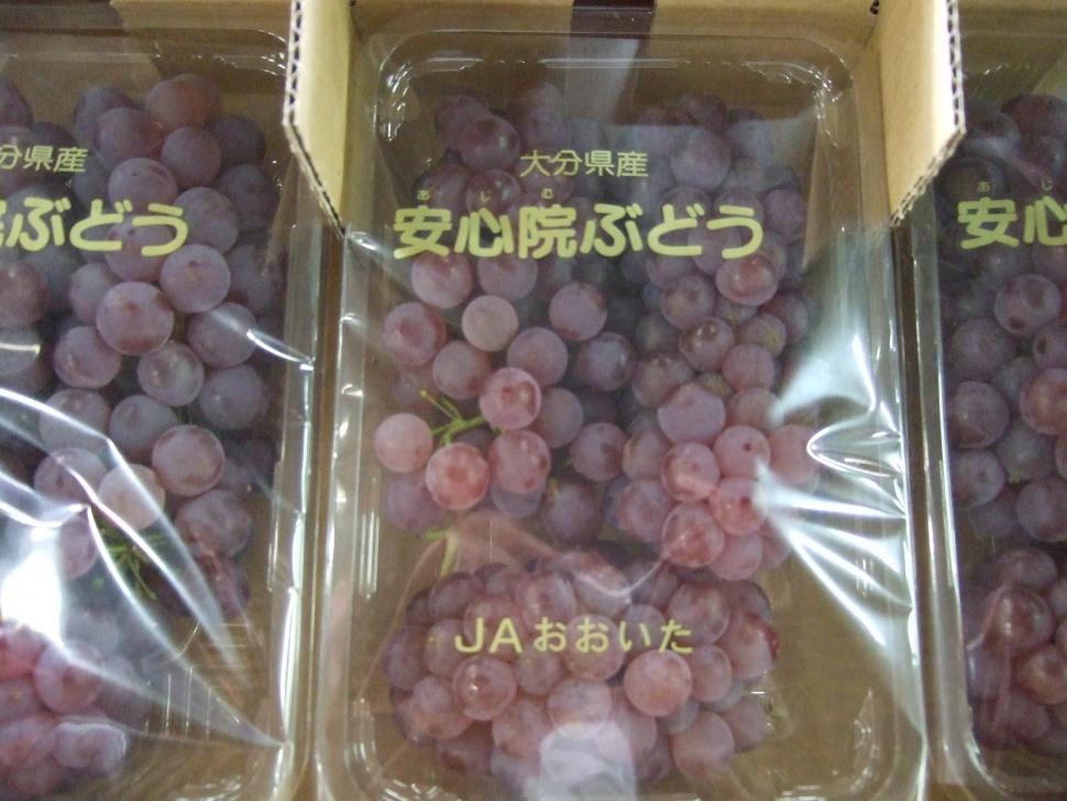 デラウエアパック