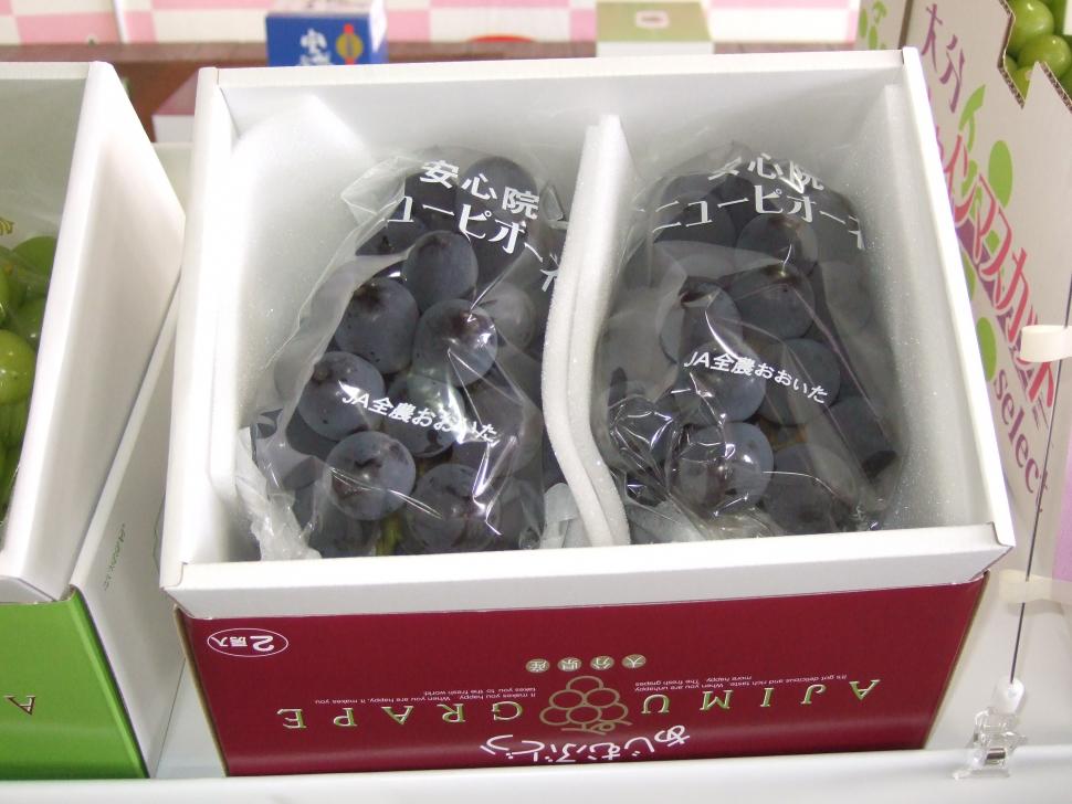 ピオーネ現物