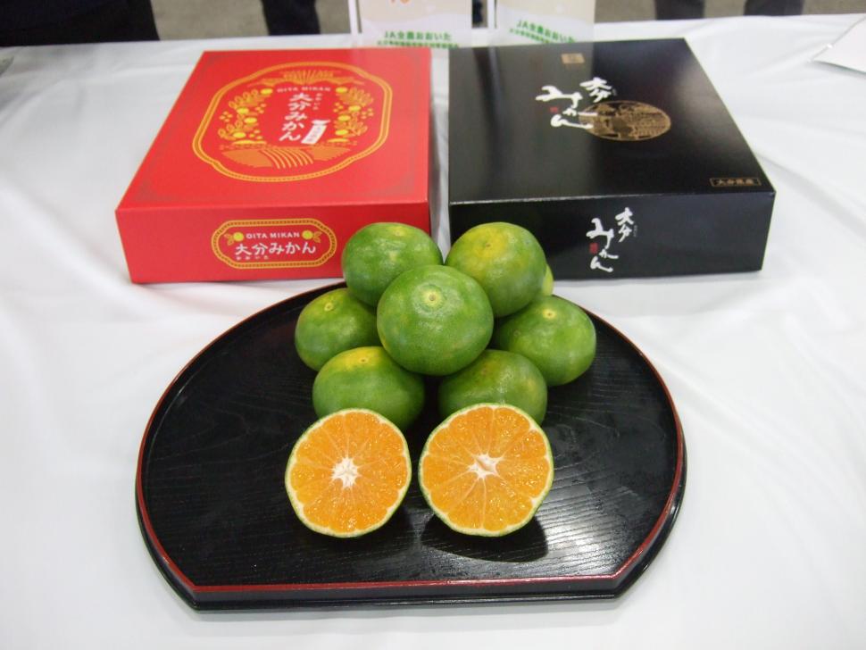 大分早生現物
