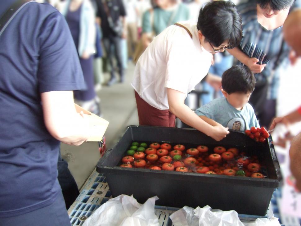 トマトすくい