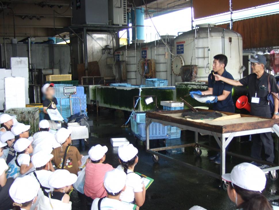 社会見学鮮魚