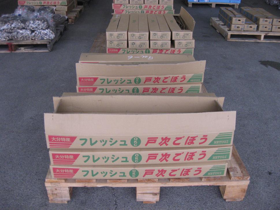 戸次ゴボウ箱入り