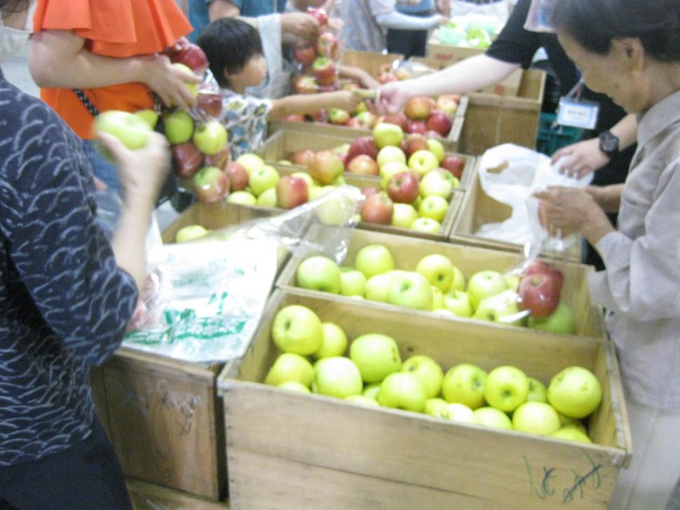 リンゴ詰め放題