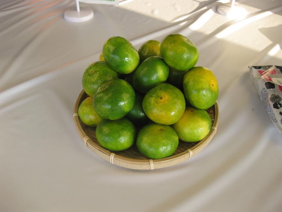 大分早生みかん現物