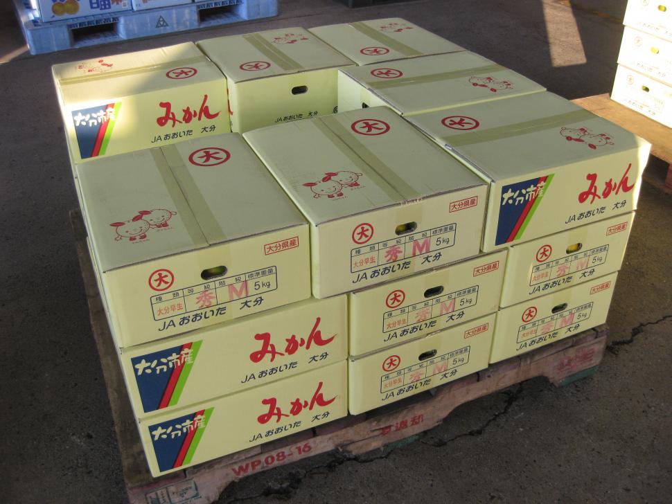 みかん出荷箱