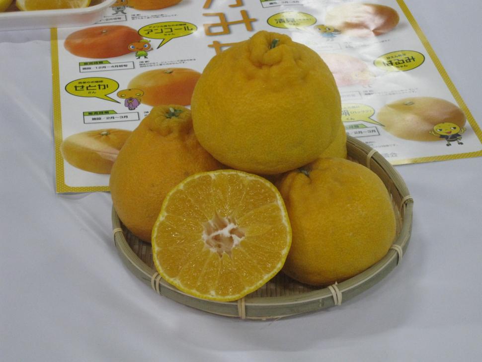 ハウスデコポン現物