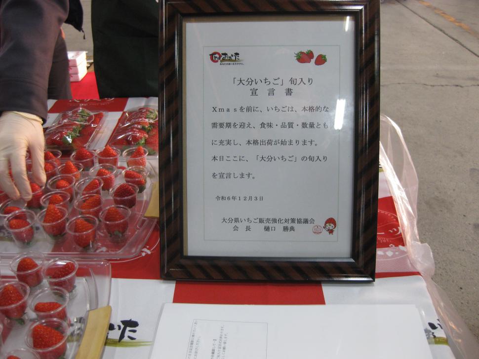 旬入り宣言書