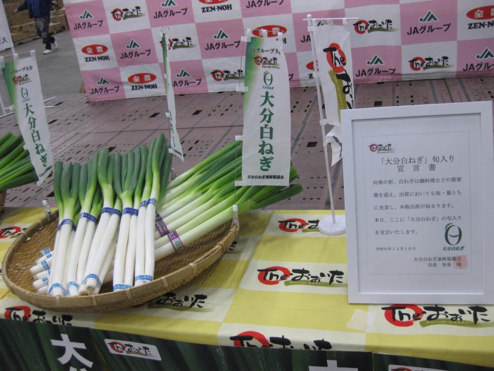 白ねぎ現物