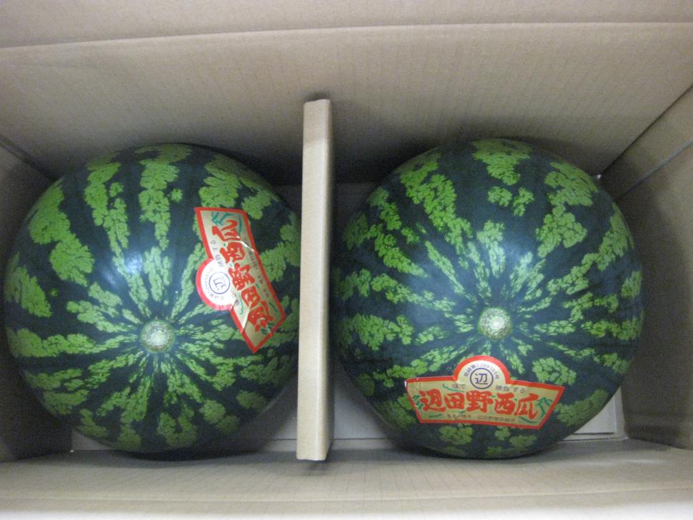 辺田野スイカ