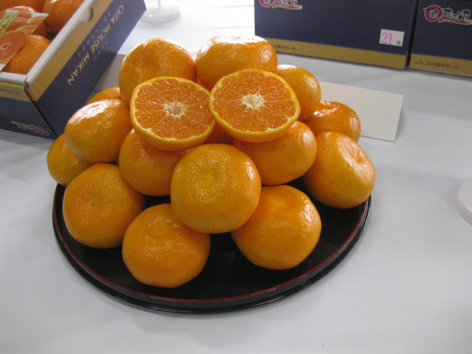 ハウスみかん現物