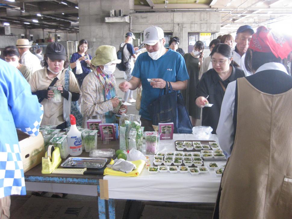 試食宣伝の状況