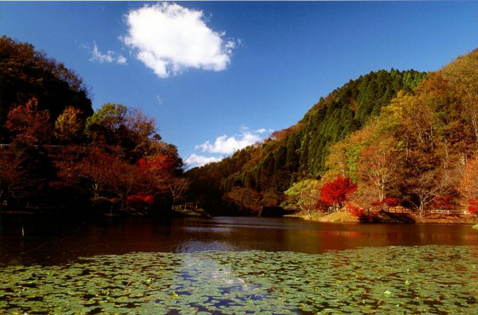 湖水の彩りの画像