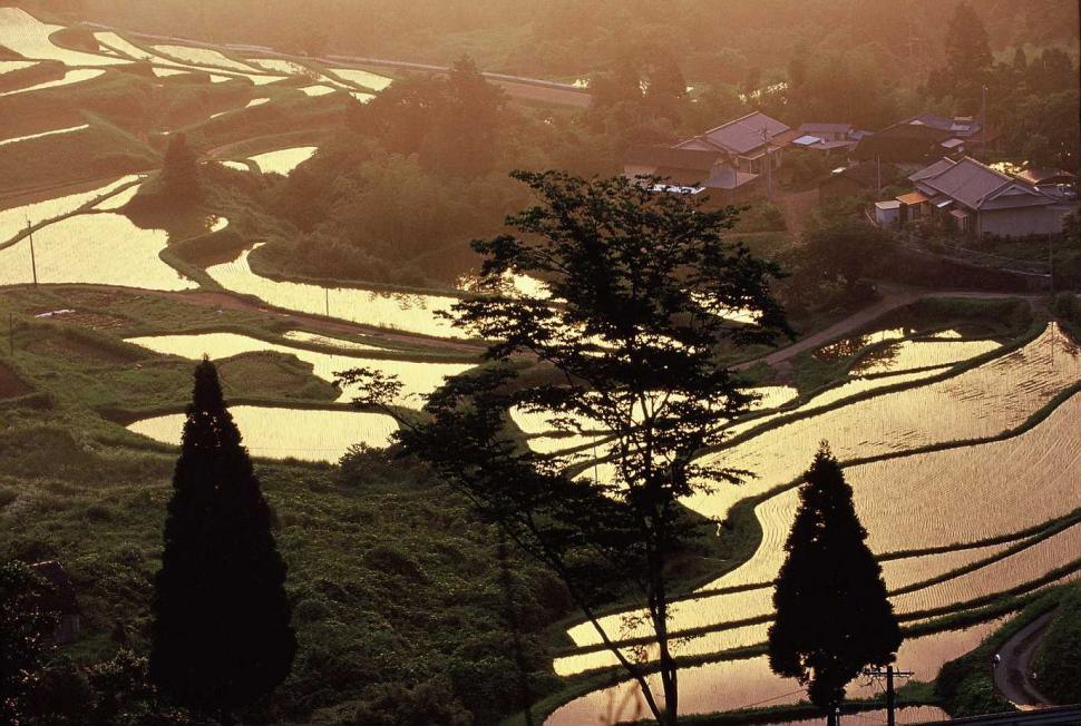 潤いの大地の画像