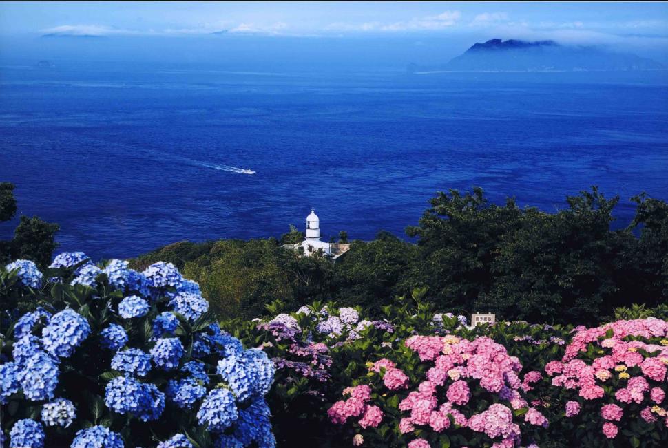 海峡の紫陽花の画像