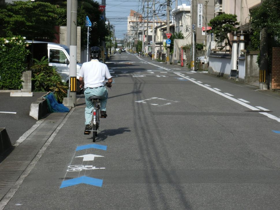 右側に路側帯があっても、誘導サインの矢印の向きに沿って、車道の左側を走行してください。