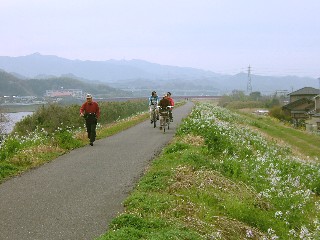 大野川沿いサイクリング風景の画像