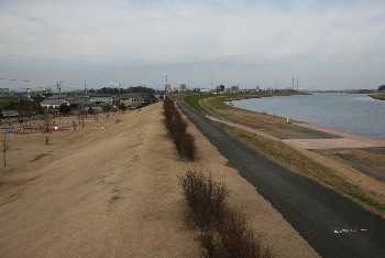 鶴崎スポーツパークから大野川河口方面を望む画像