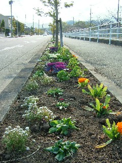 花壇の画像