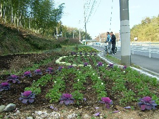 久土公民館近くの花壇の画像