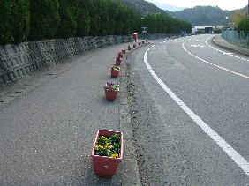 花いっぱいのまちづくりの画像3