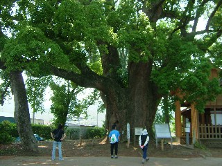 サイクリング風景の画像1