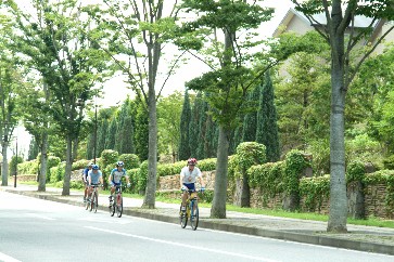 サイクリング風景の画像2