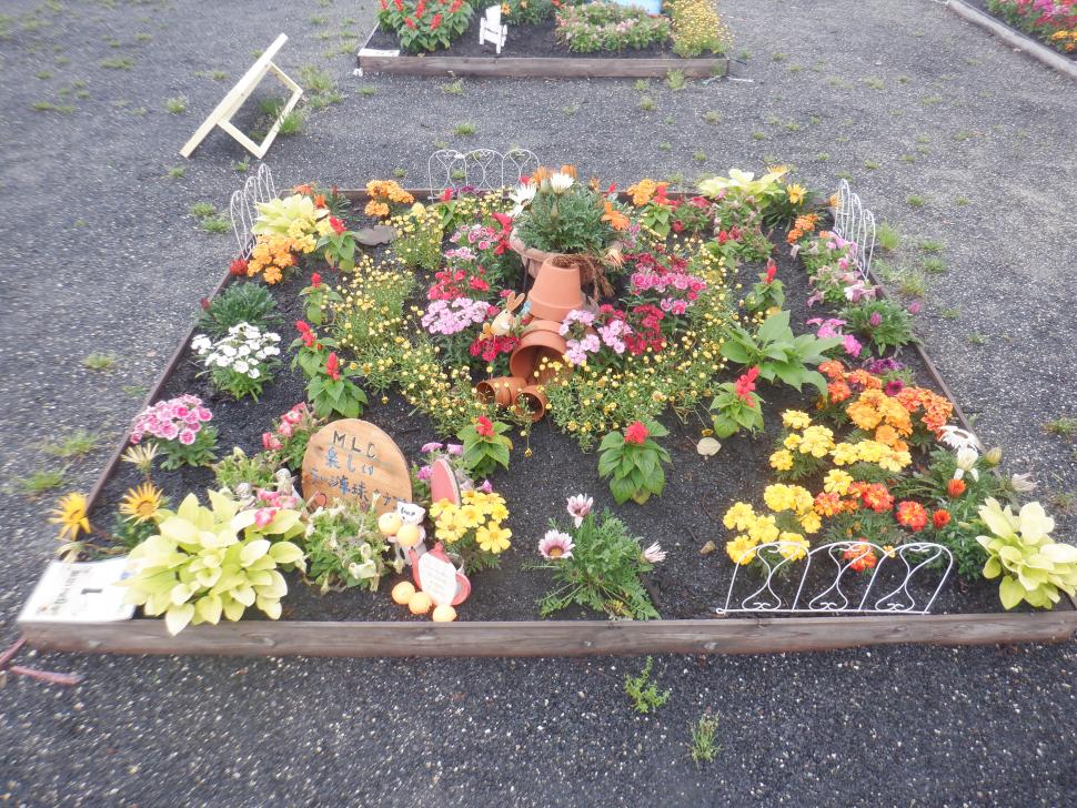 花壇コンクール優良賞作品