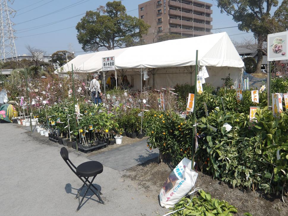 ふれあいいち出店写真