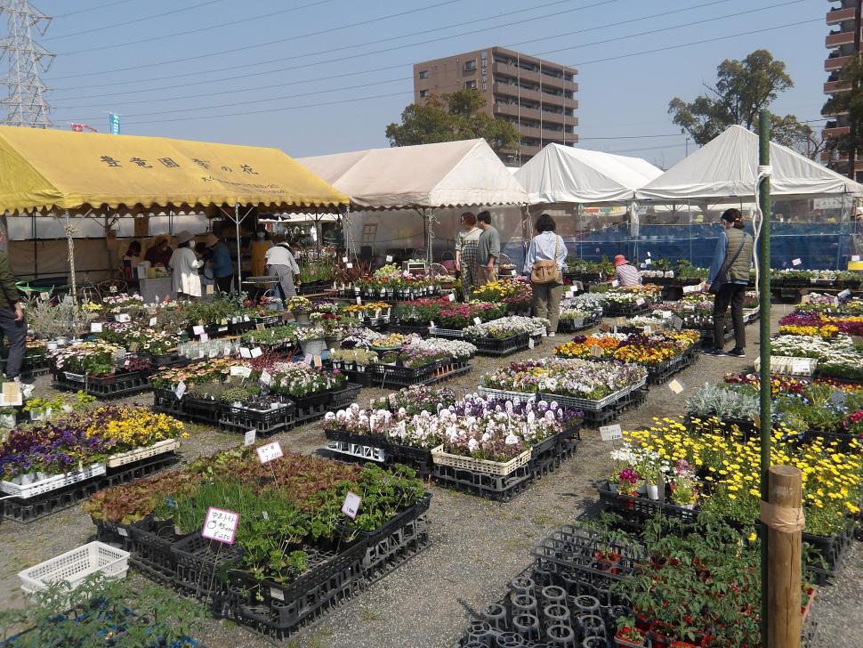 ふれあいいち様子