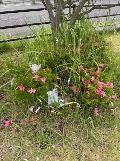 公園ゴミ