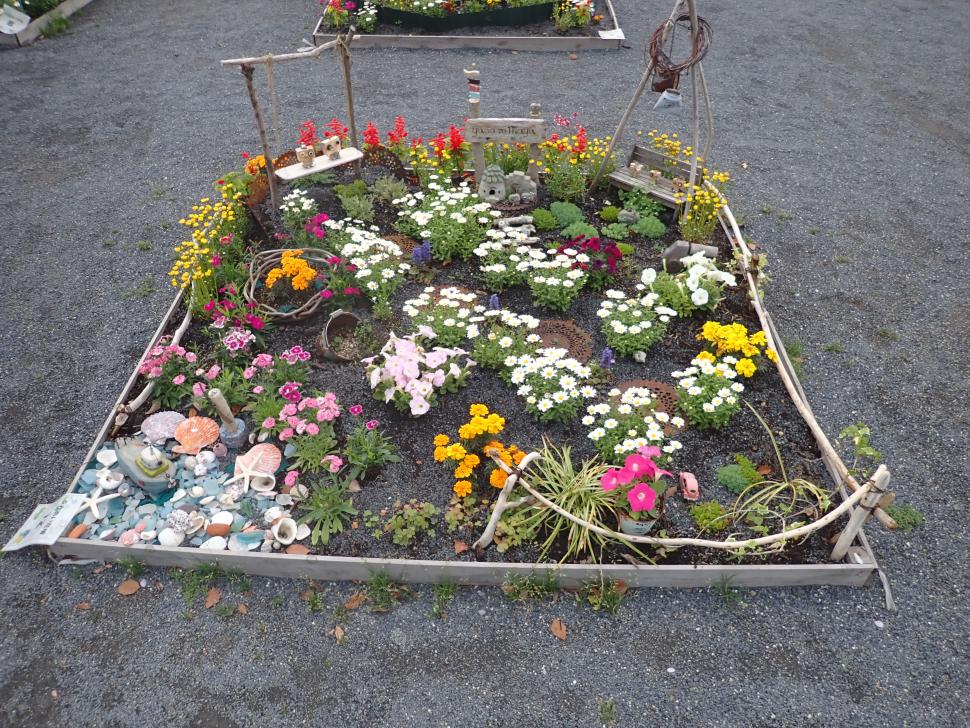 花壇コンクール優良賞作品