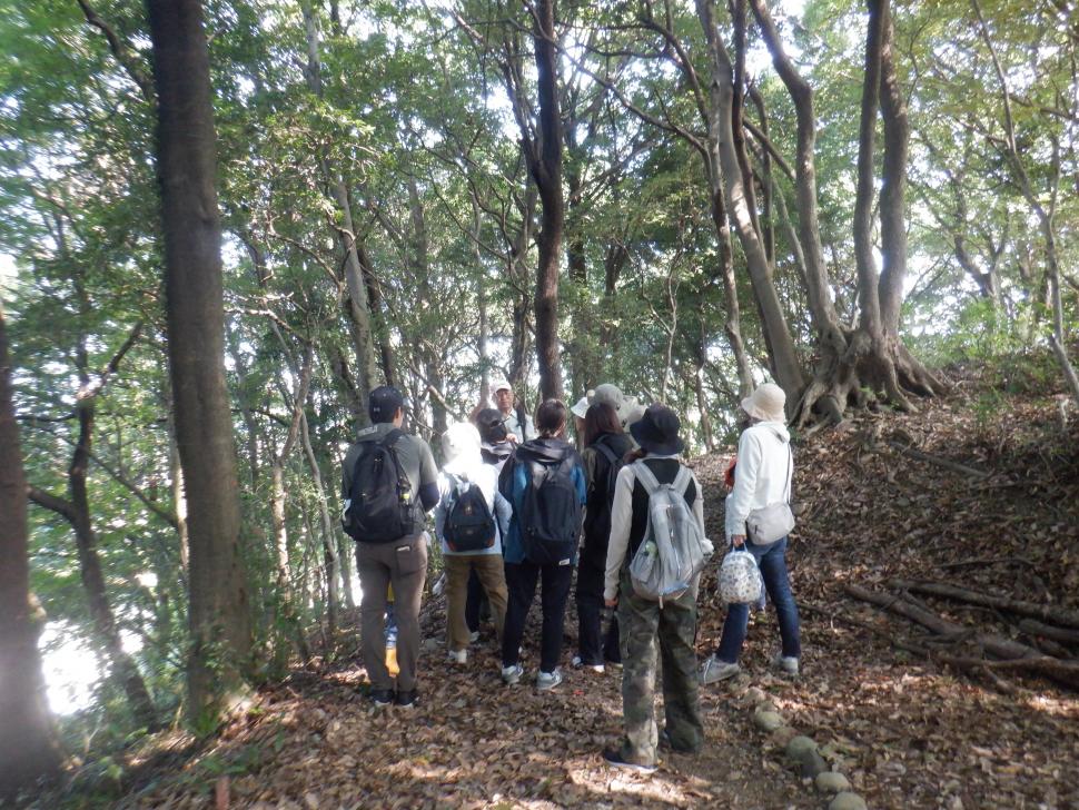 キノコの森の観察会散策写真