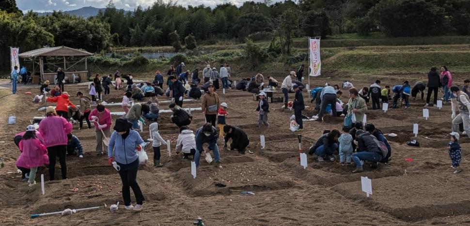 球根植え付け写真