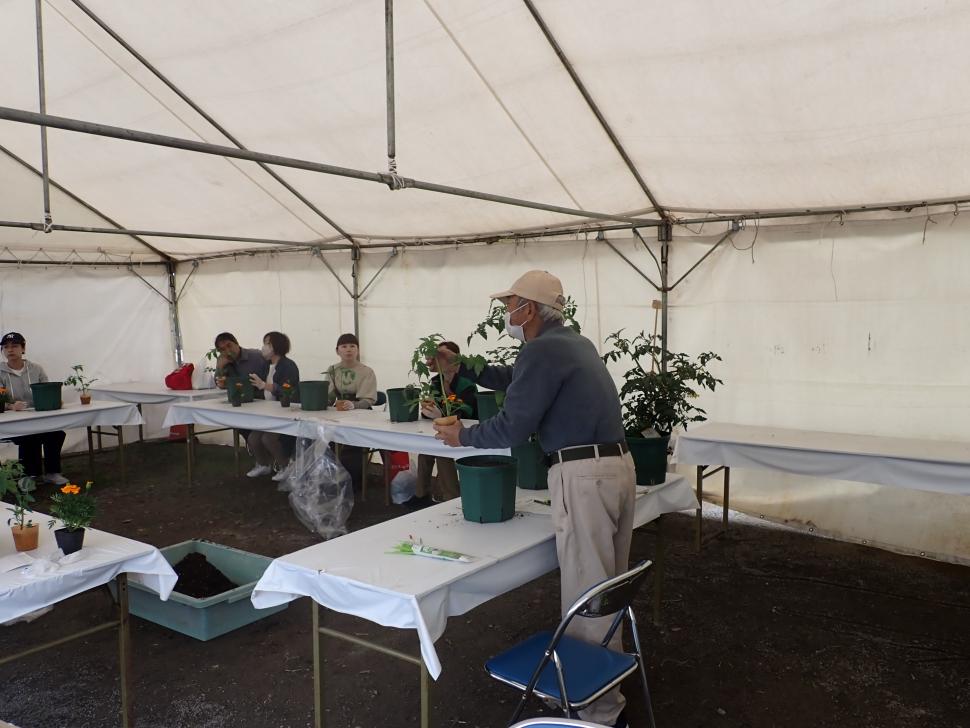 ミニ菜園教室の様子