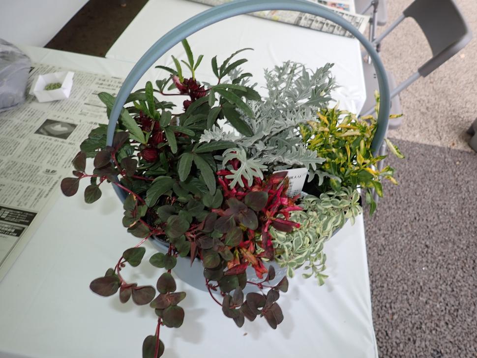 寄せ植え教室で作成した作品
