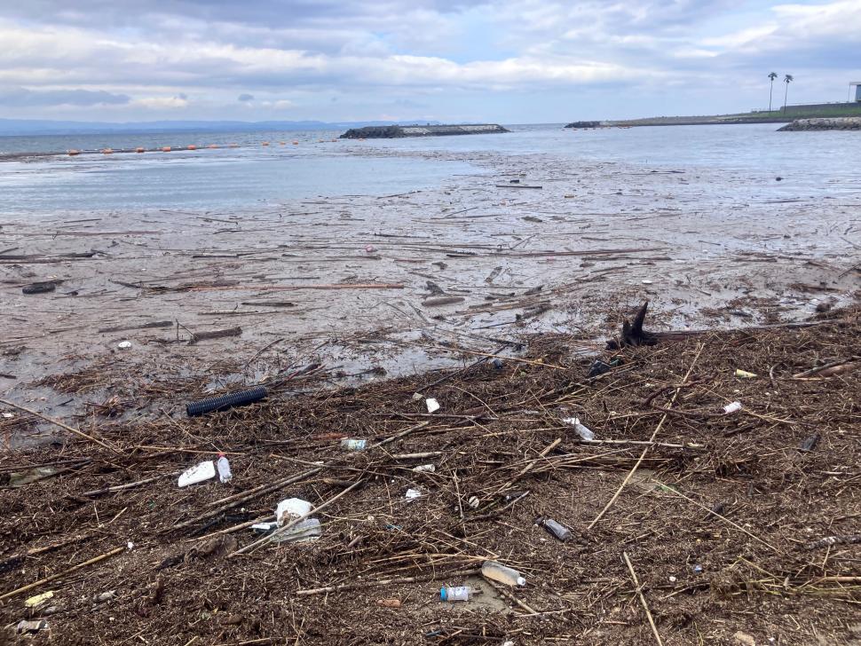田ノ浦ビーチ海面全体にに木の破片が浮かんでいる。