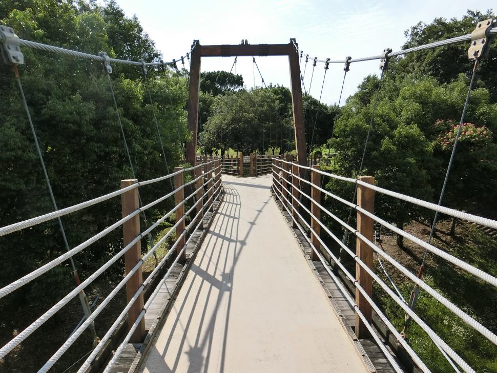 七瀬川自然公園あやとり橋の写真